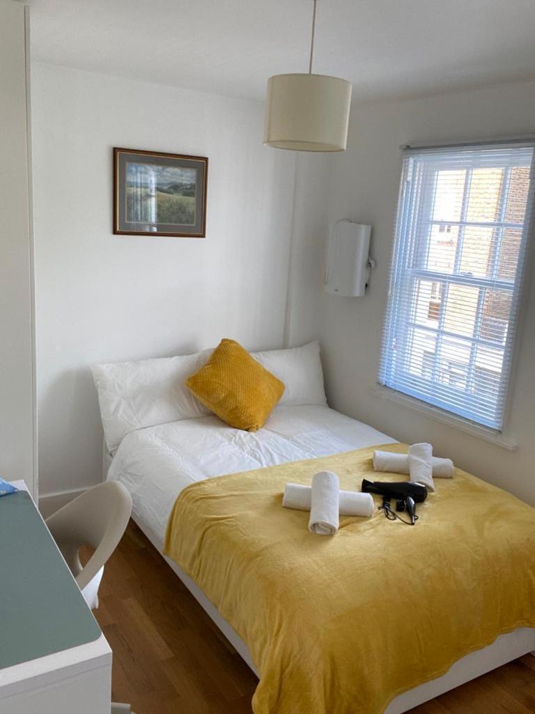 Lovely Private In Euston, Alloggio in famiglia Londra